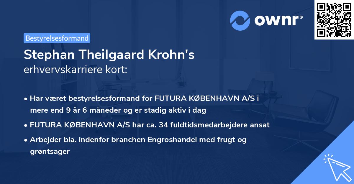 Stephan Theilgaard Krohn's erhvervskarriere kort