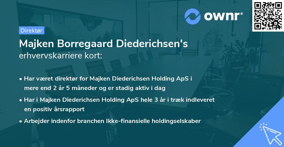 Majken Borregaard Diederichsen's erhvervskarriere kort