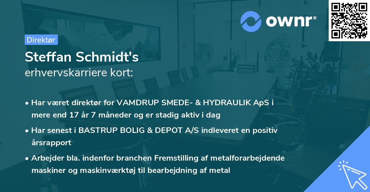 Steffan Schmidt's erhvervskarriere kort