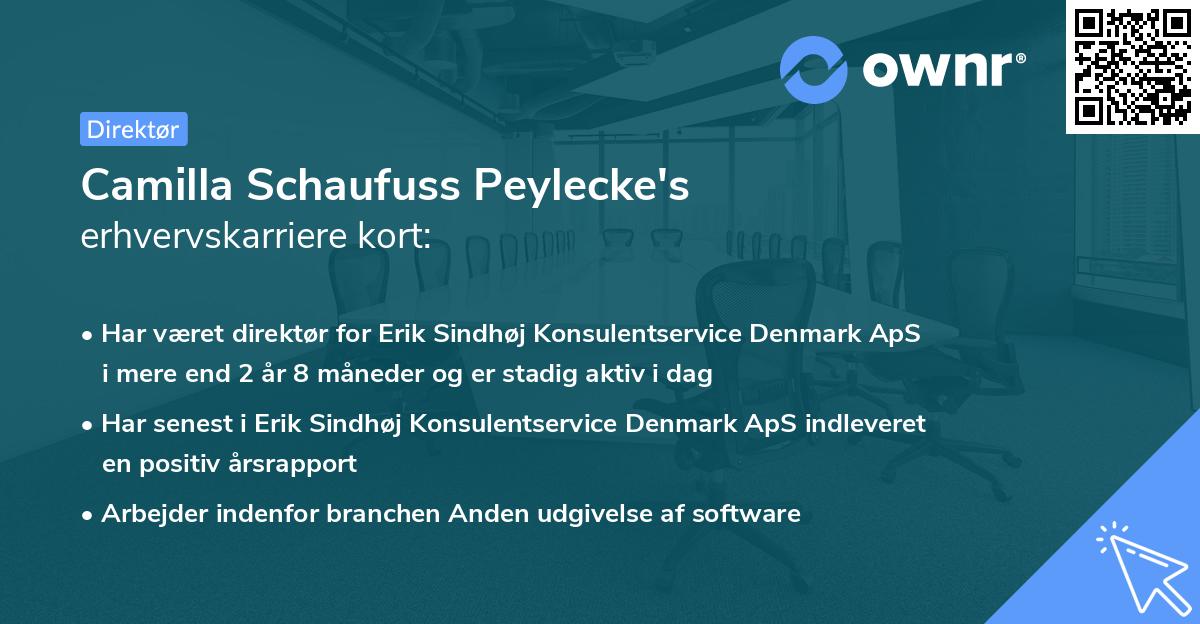 Camilla Schaufuss Peylecke's erhvervskarriere kort
