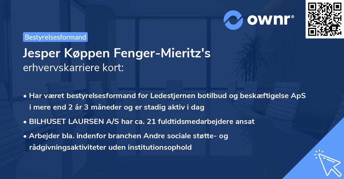 Jesper Køppen Fenger-Mieritz's erhvervskarriere kort