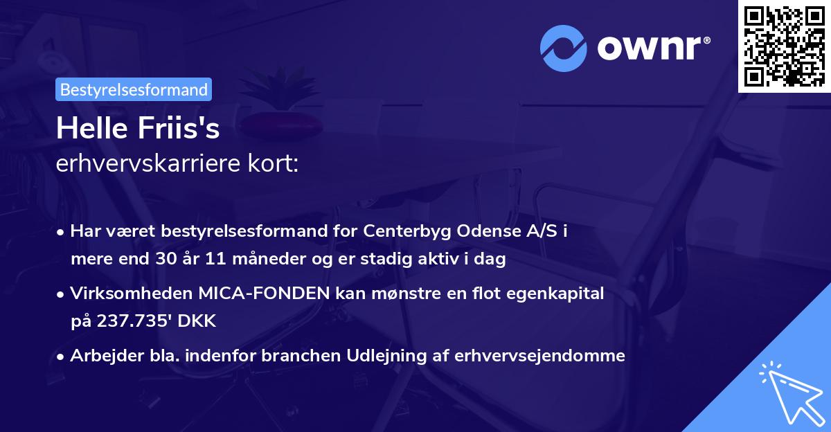 Helle Friis's erhvervskarriere kort