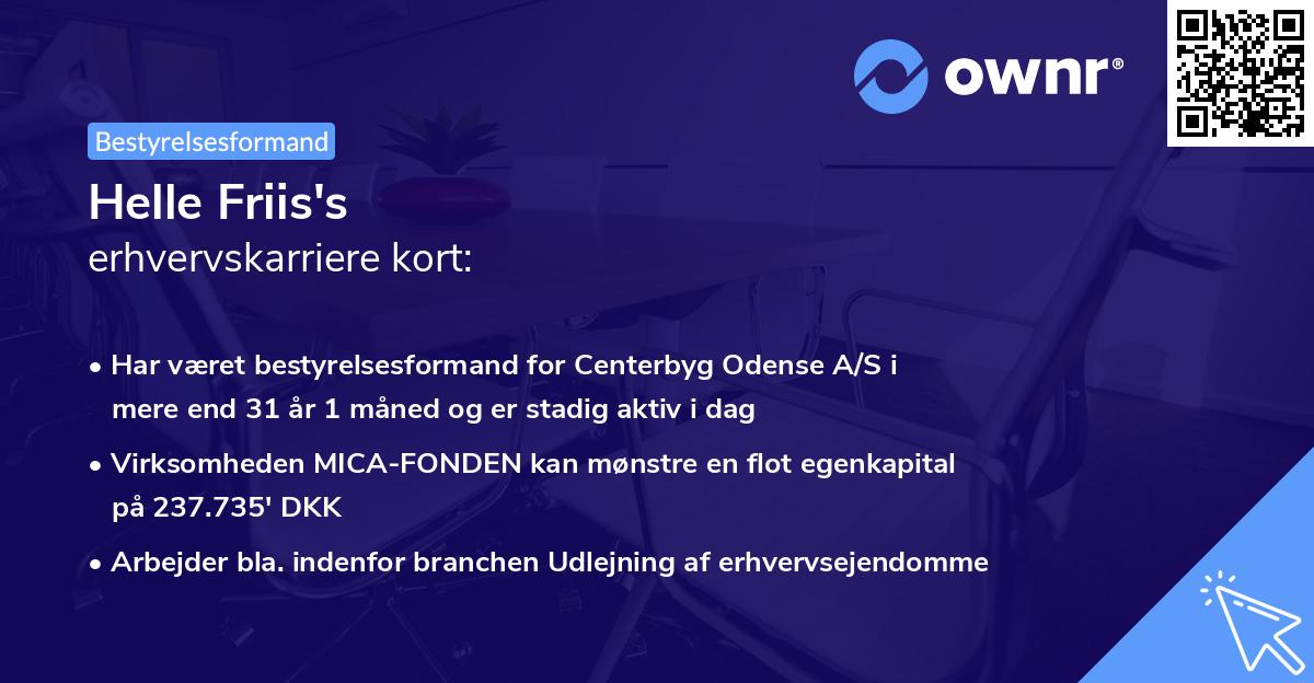 Helle Friis's erhvervskarriere kort