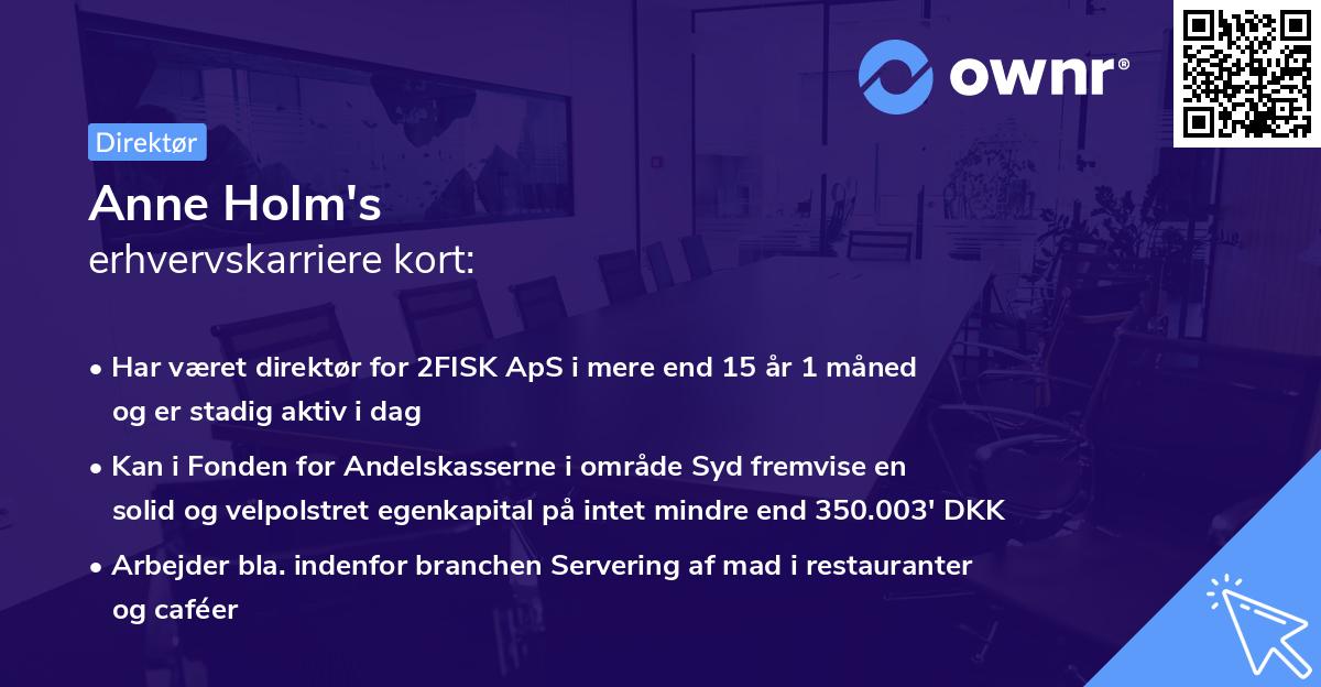 Anne Holm's erhvervskarriere kort