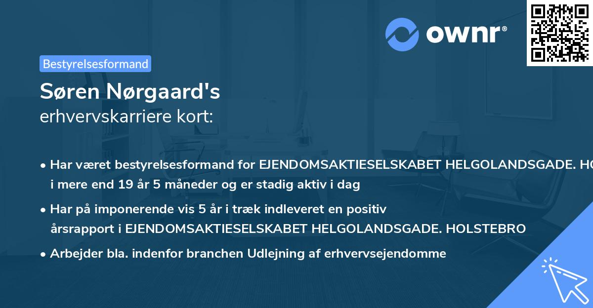 Søren Nørgaard's erhvervskarriere kort