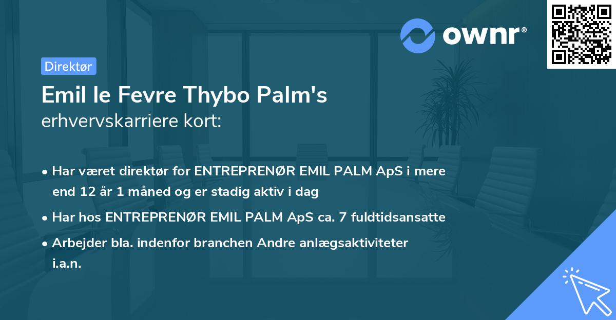 Emil le Fevre Thybo Palm's erhvervskarriere kort