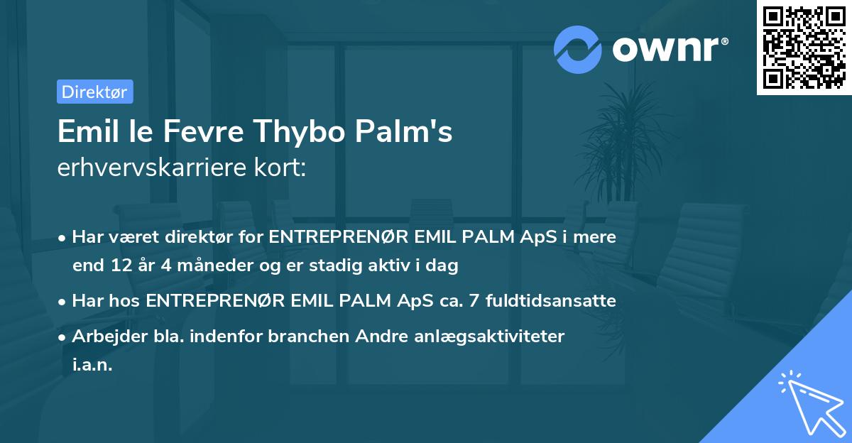 Emil le Fevre Thybo Palm's erhvervskarriere kort