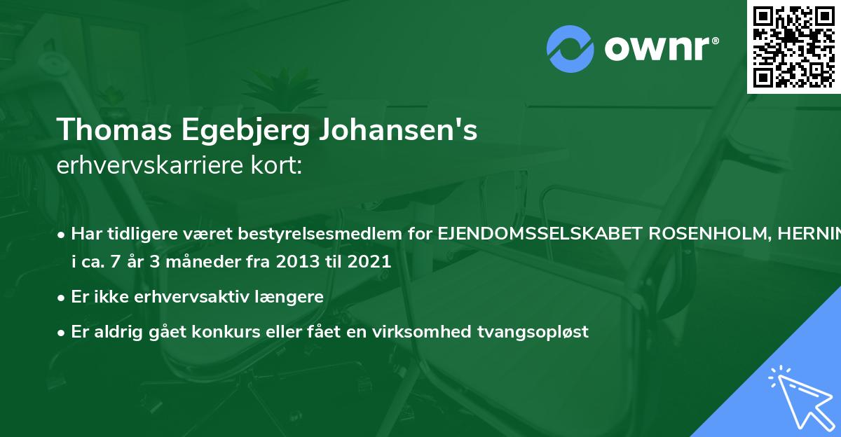 Thomas Egebjerg Johansen's erhvervskarriere kort