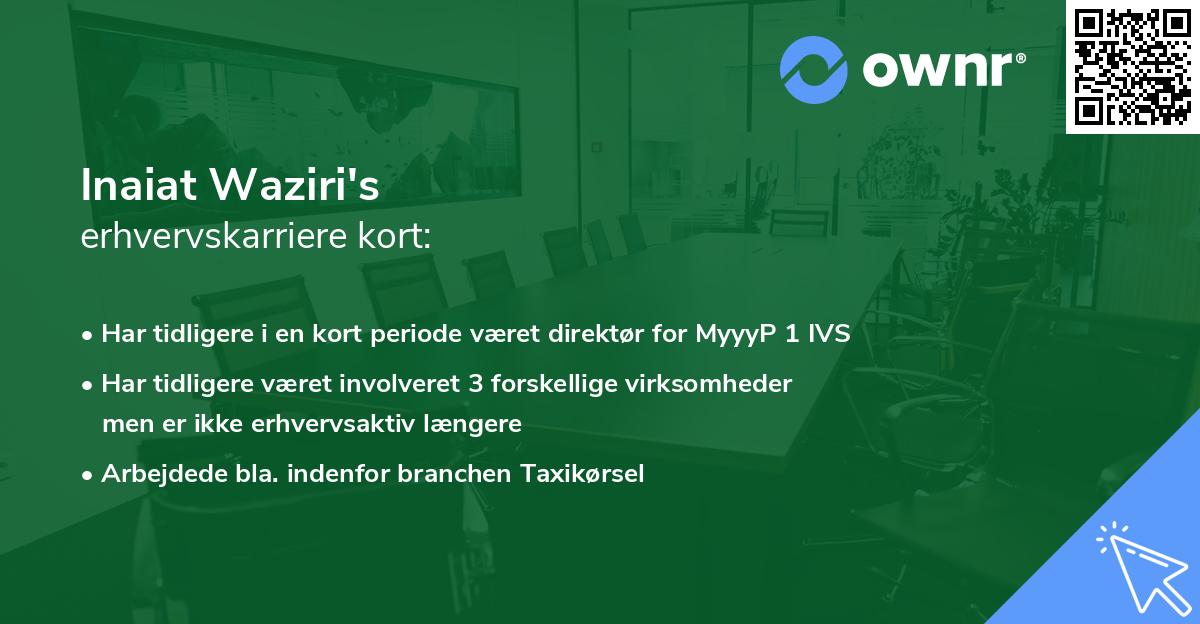 Inaiat Waziri's erhvervskarriere kort