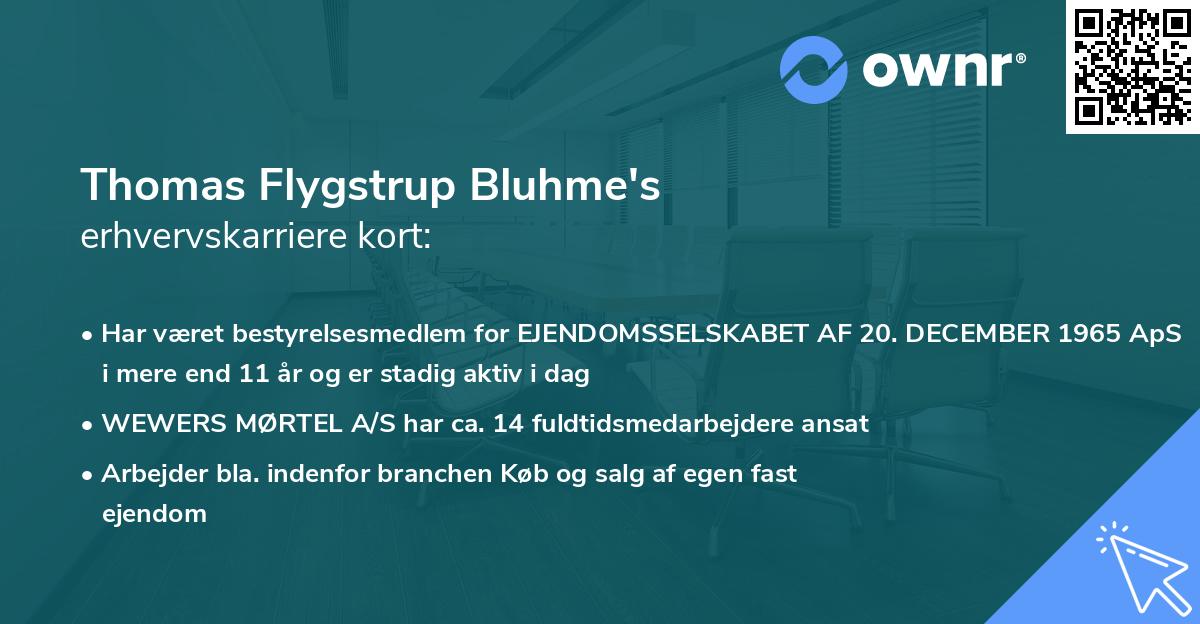 Thomas Flygstrup Bluhme's erhvervskarriere kort