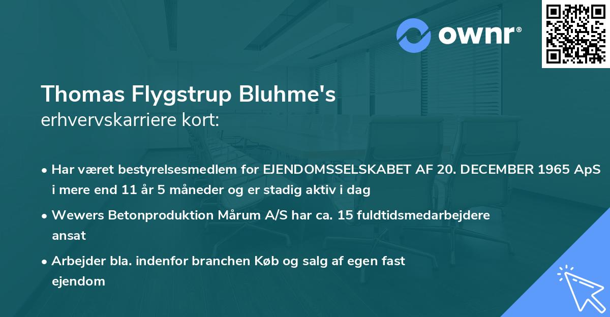 Thomas Flygstrup Bluhme's erhvervskarriere kort