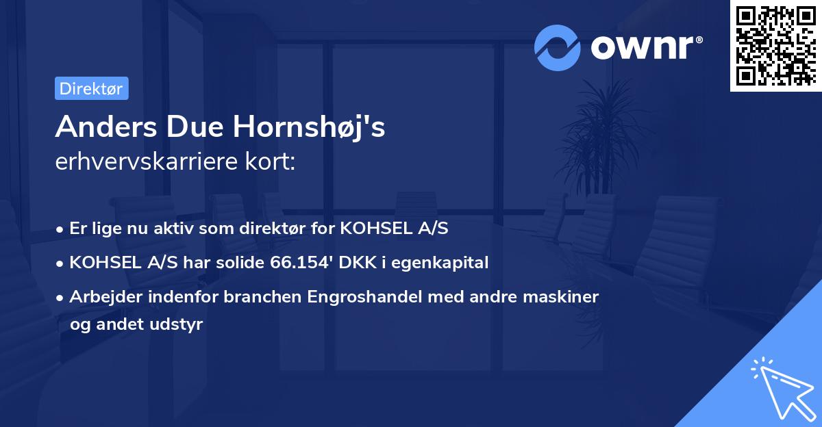 Anders Due Hornshøj's erhvervskarriere kort