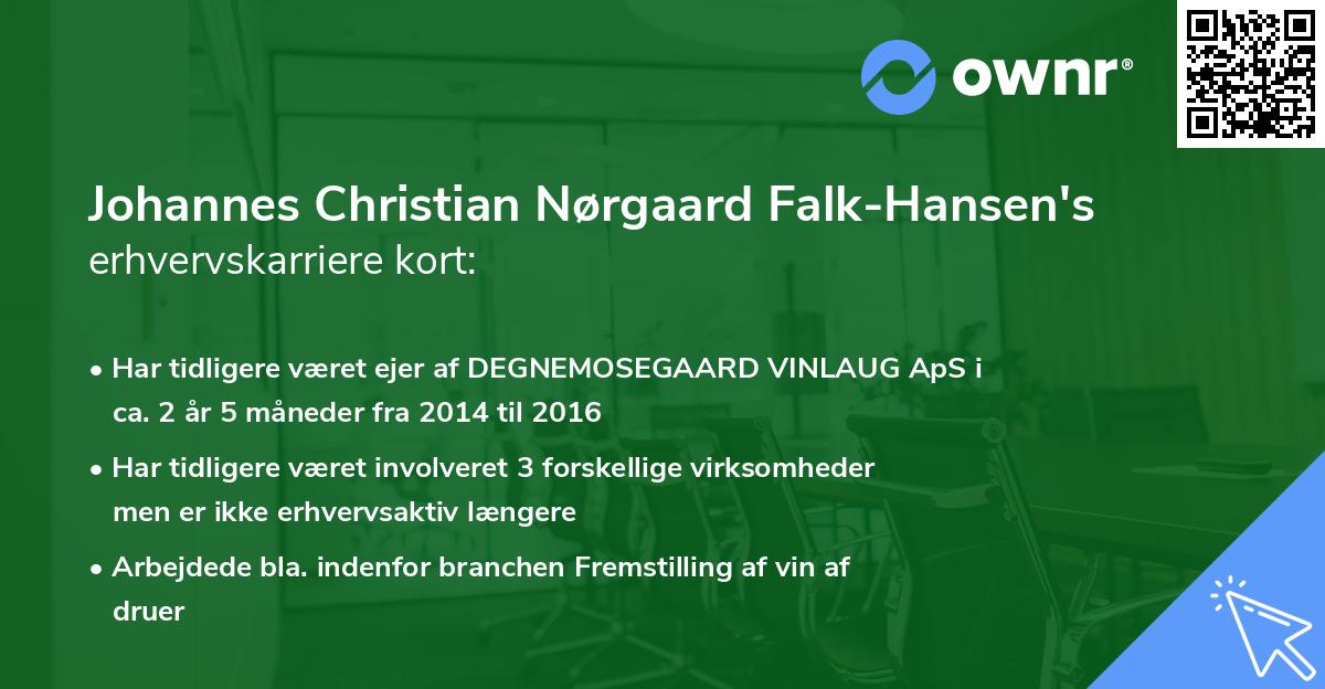 Johannes Christian Nørgaard Falk-Hansen's erhvervskarriere kort