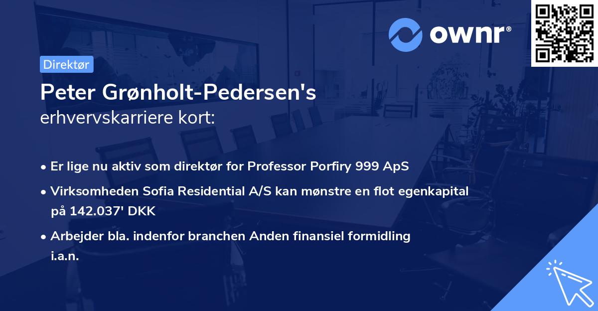 Peter Grønholt-Pedersen's erhvervskarriere kort