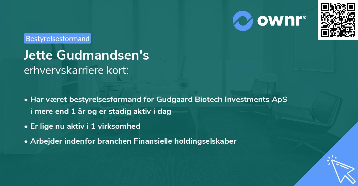 Jette Gudmandsen's erhvervskarriere kort