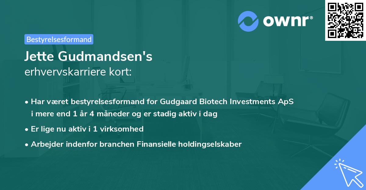 Jette Gudmandsen's erhvervskarriere kort