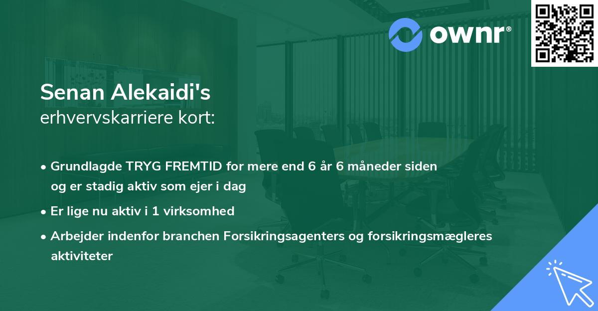 Senan Alekaidi's erhvervskarriere kort