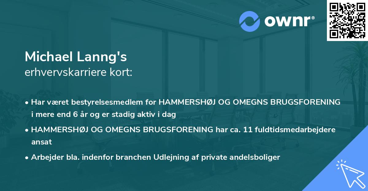 Michael Lanng's erhvervskarriere kort
