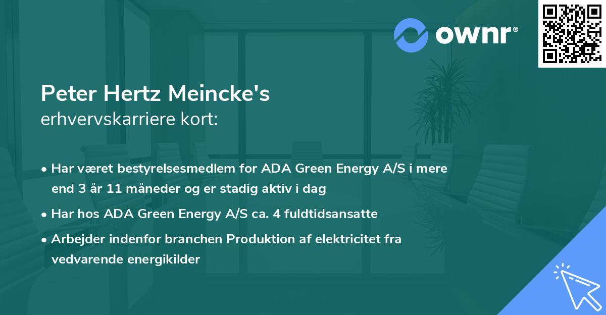 Peter Hertz Meincke's erhvervskarriere kort