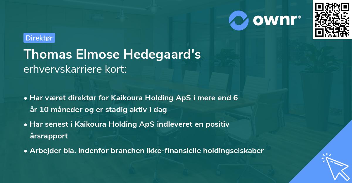 Thomas Elmose Hedegaard's erhvervskarriere kort