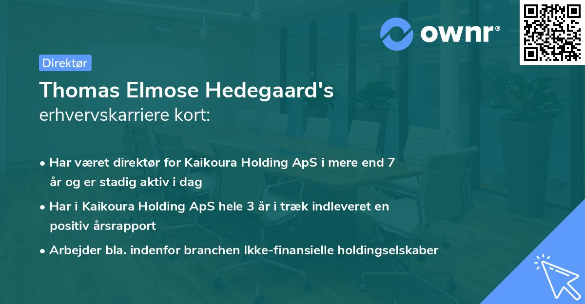 Thomas Elmose Hedegaard's erhvervskarriere kort