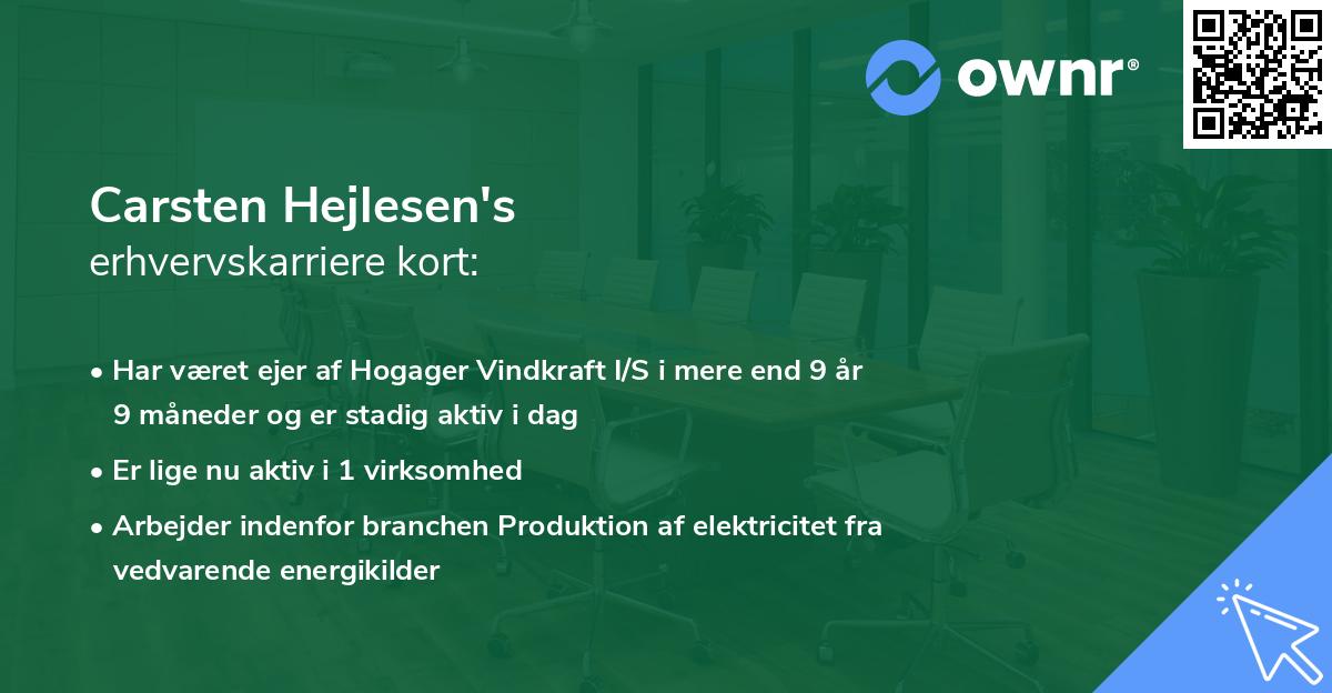 Carsten Hejlesen's erhvervskarriere kort