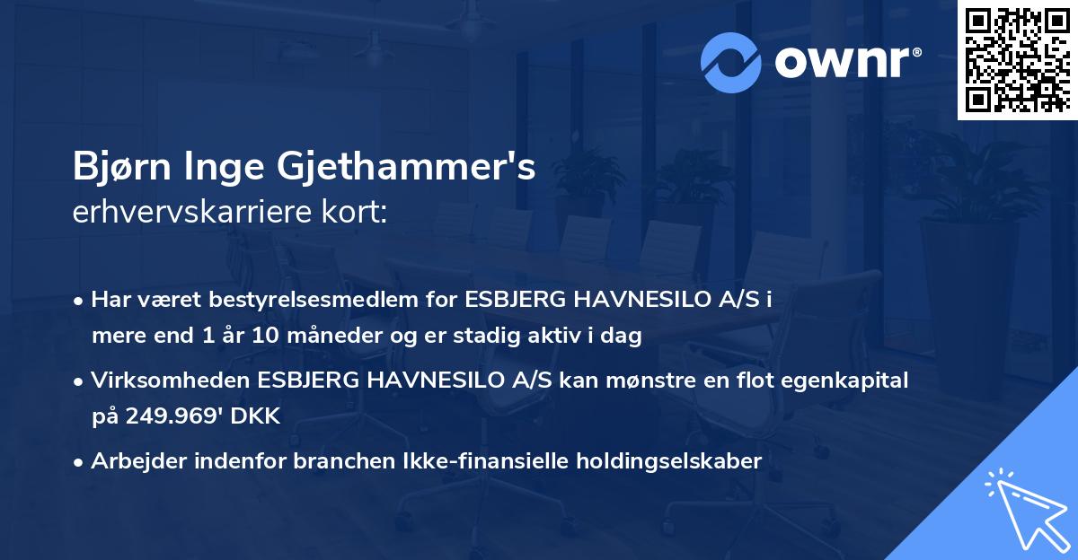 Bjørn Inge Gjethammer's erhvervskarriere kort