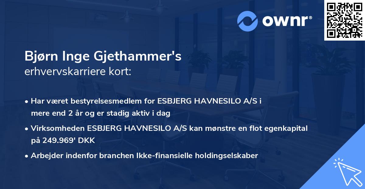 Bjørn Inge Gjethammer's erhvervskarriere kort