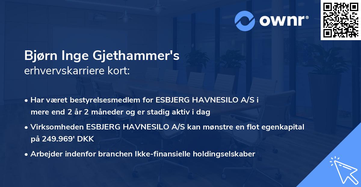 Bjørn Inge Gjethammer's erhvervskarriere kort