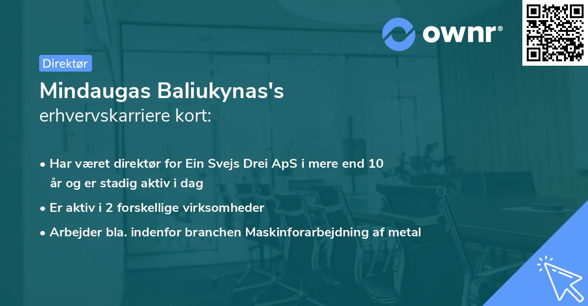 Mindaugas Baliukynas's erhvervskarriere kort