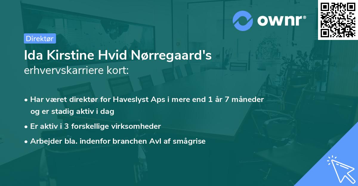 Ida Kirstine Hvid Nørregaard's erhvervskarriere kort