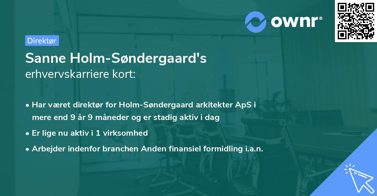 Sanne Holm-Søndergaard's erhvervskarriere kort