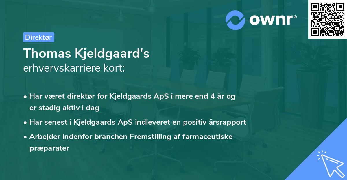 Thomas Kjeldgaard's erhvervskarriere kort