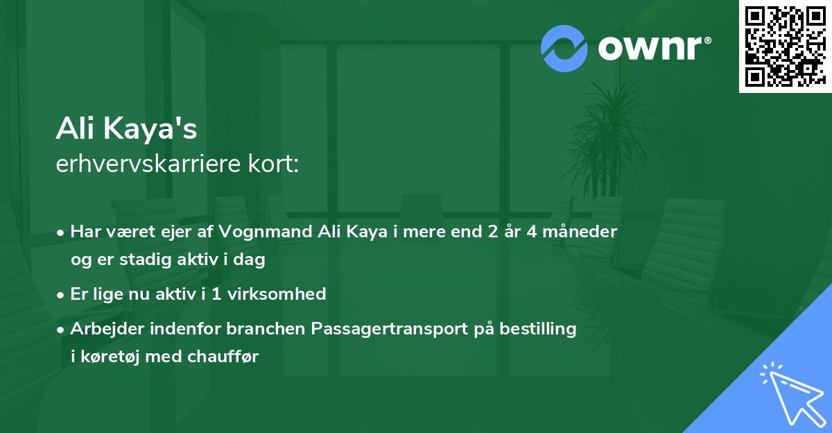 Ali Kaya's erhvervskarriere kort