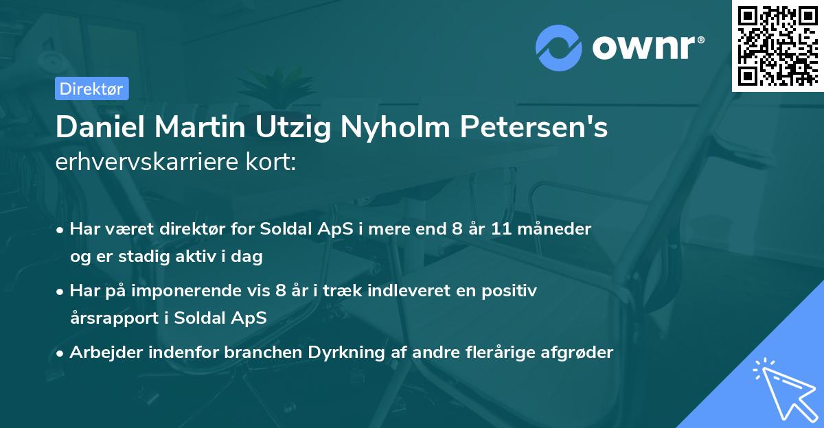 Daniel Martin Utzig Nyholm Petersen's erhvervskarriere kort