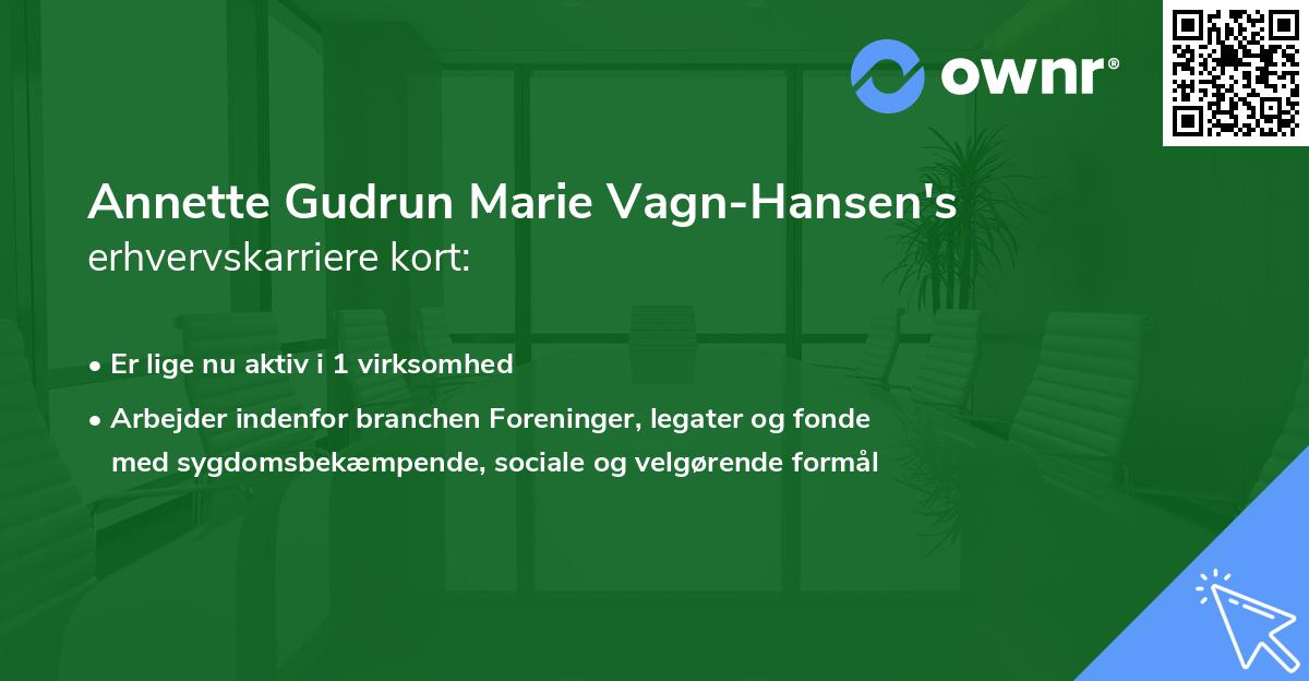 Annette Gudrun Marie Vagn-Hansen's erhvervskarriere kort