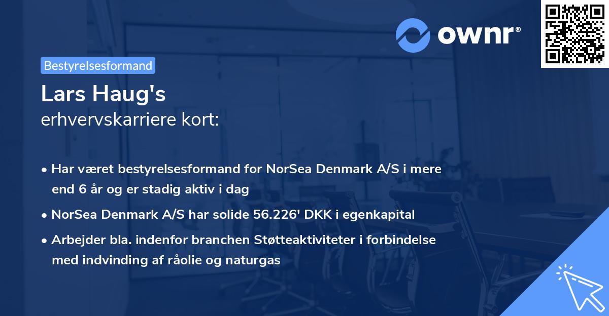 Lars Haug's erhvervskarriere kort