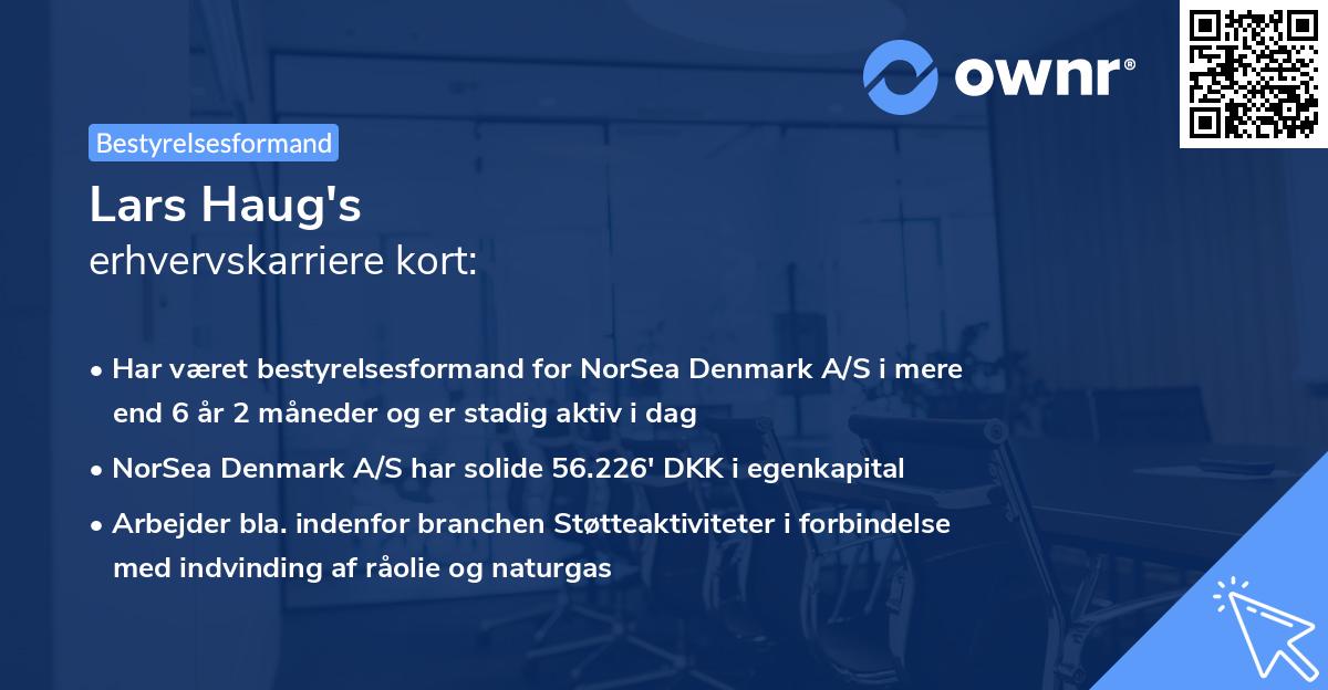 Lars Haug's erhvervskarriere kort