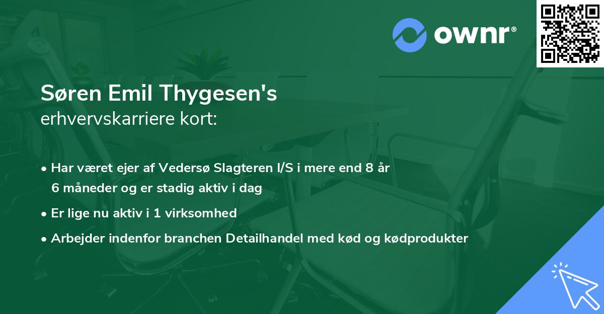 Søren Emil Thygesen's erhvervskarriere kort