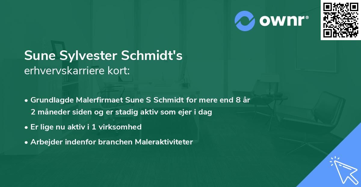 Sune Sylvester Schmidt's erhvervskarriere kort