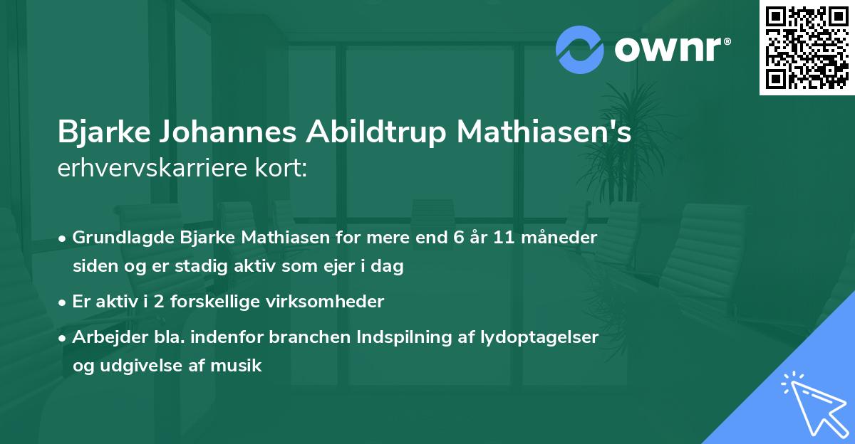 Bjarke Johannes Abildtrup Mathiasen's erhvervskarriere kort