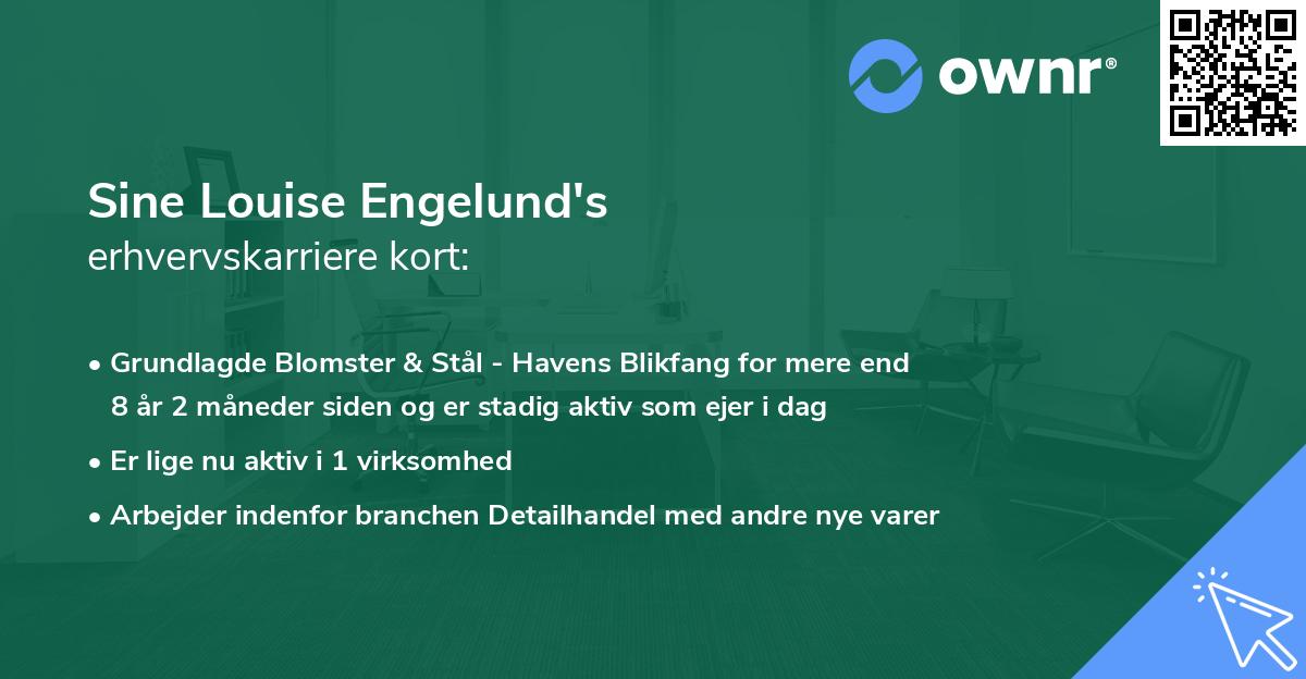 Sine Louise Engelund's erhvervskarriere kort