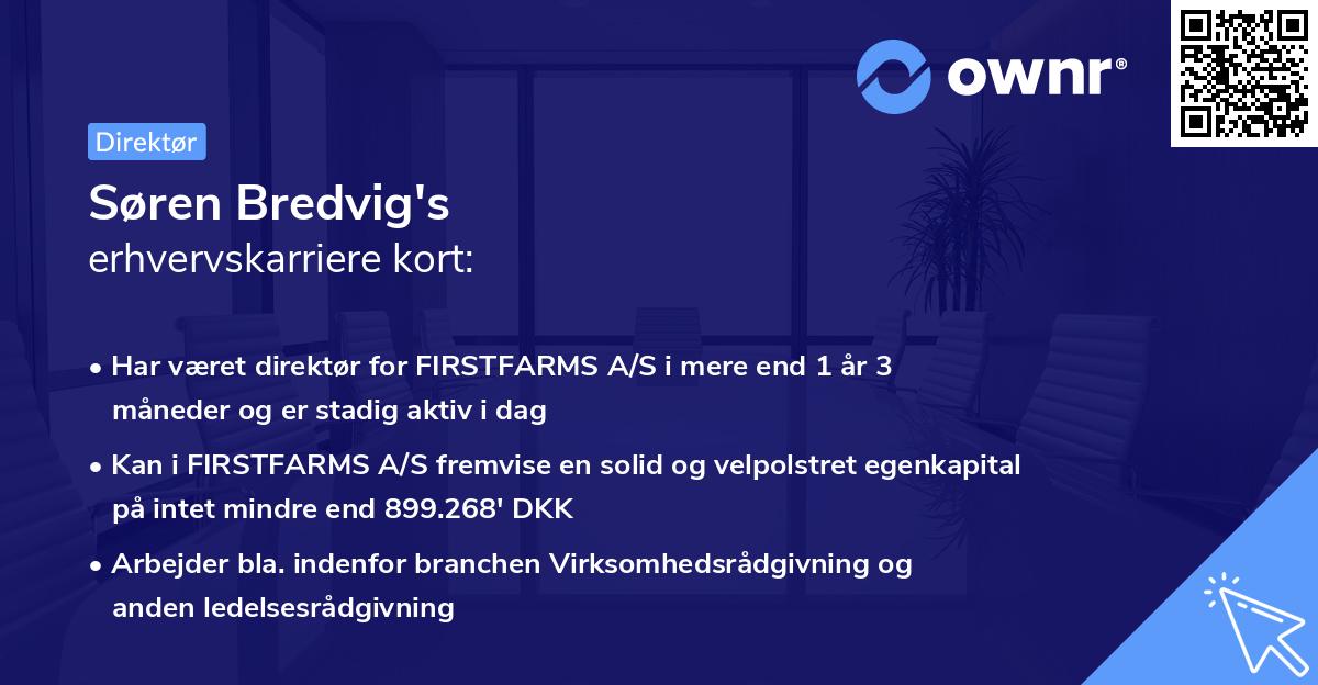 Søren Bredvig's erhvervskarriere kort