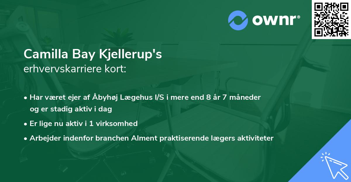 Camilla Bay Kjellerup's erhvervskarriere kort
