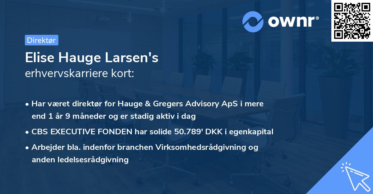Elise Hauge Larsen's erhvervskarriere kort