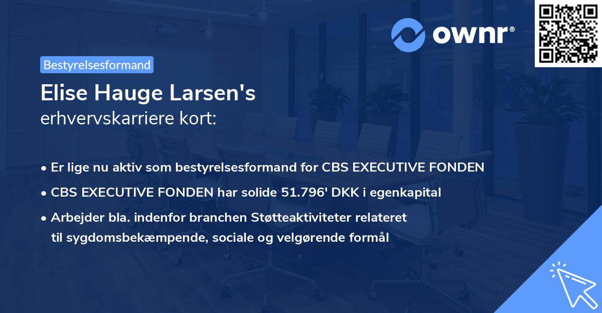 Elise Hauge Larsen's erhvervskarriere kort