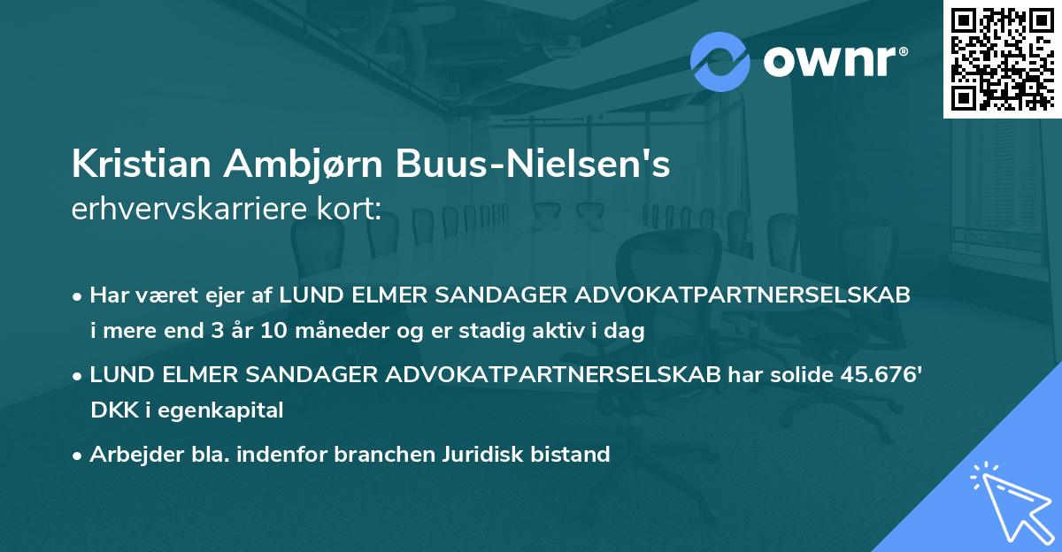 Kristian Ambjørn Buus-Nielsen's erhvervskarriere kort