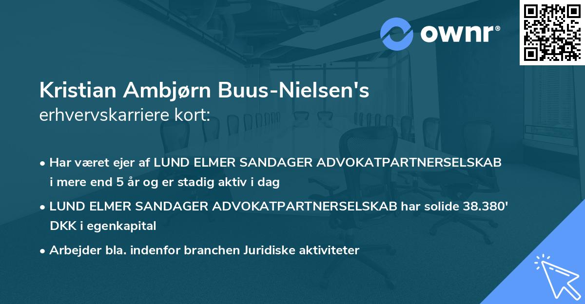 Kristian Ambjørn Buus-Nielsen's erhvervskarriere kort