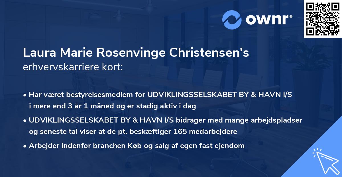 Laura Marie Rosenvinge Christensen's erhvervskarriere kort