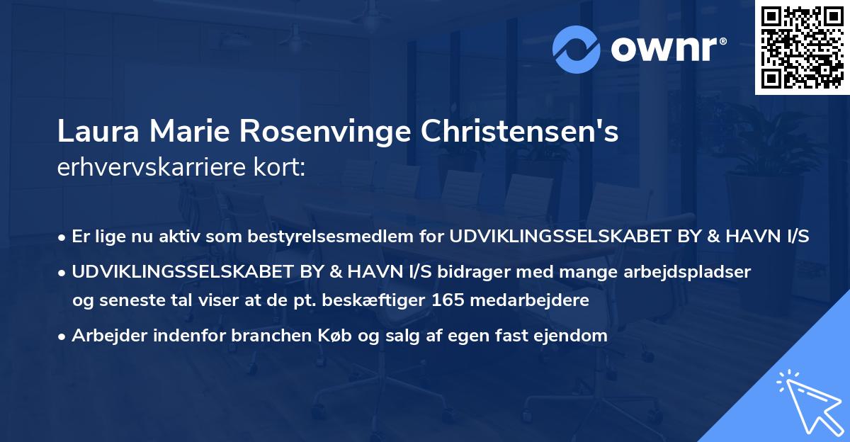 Laura Marie Rosenvinge Christensen's erhvervskarriere kort